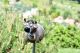 Midene Ceramic Garden Decor Alpine Cow with Bell GKR74 Garden Stake Frostproof Handmade Hand-painted Lawn Stake Ceramic Garden Ball