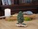 Midene Ceramic Home Decoration Tree M17