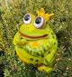 Garden Decoration Frog King