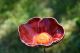 Handmade Ceramic Flower Garden Stake - Frost Resistant Lawn Art