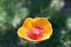 Handmade Ceramic Flower Garden Stake: Frost Resistant Yard Art