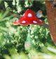 Ceramic Bird Feeder Mushroom Mini 46cm Midene Handmade Garden Decor