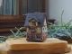 Ceramic Cone Incense Holder | Room Decoration | Collectible miniature of the original Timbered House in Rennes, Normandy, France | R279 Midene